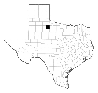 King County in Texas