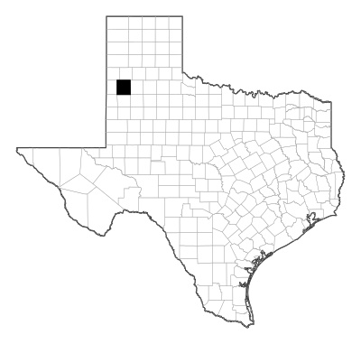 Lamb County in Texas