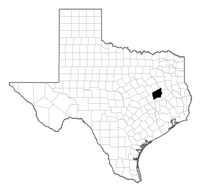 Leon County in Texas