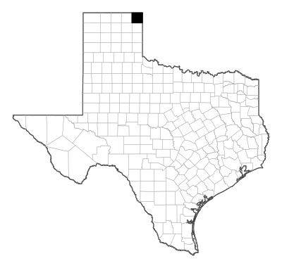 Lipscomb County in Texas