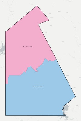 Live Oak County TX townships and subdivisions map