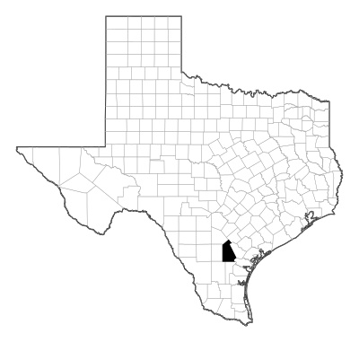 Live Oak County in Texas