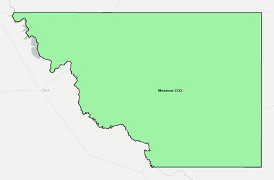 Loving County TX townships and subdivisions map