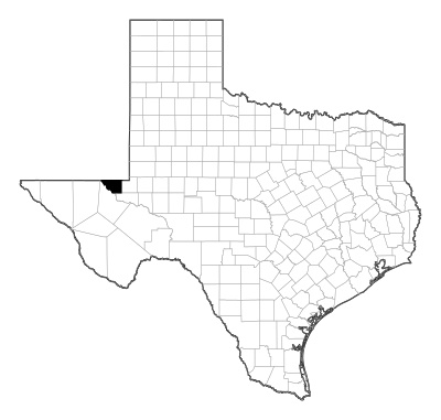 Loving County in Texas