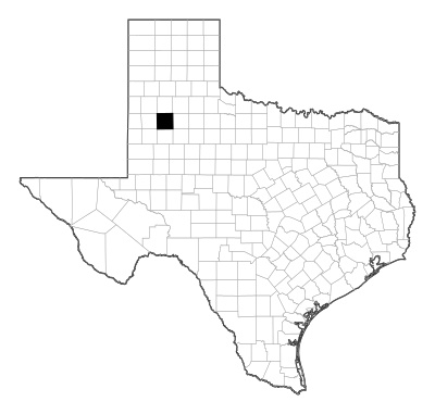 Lubbock County in Texas