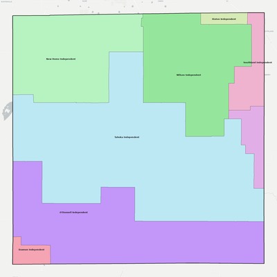 Lynn County TX school district boundaries map