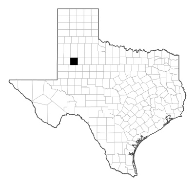 Lynn County in Texas