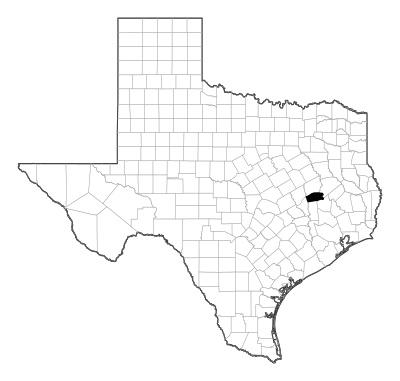 Madison County in Texas