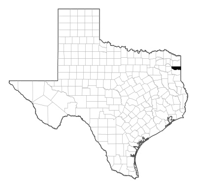 Marion County in Texas