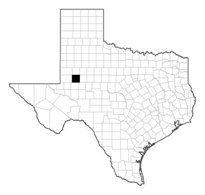 Martin County in Texas
