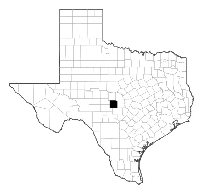 Mason County in Texas
