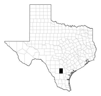 McMullen County in Texas