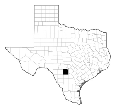 Medina County in Texas