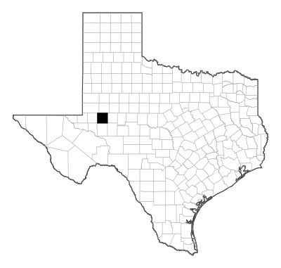 Midland County in Texas
