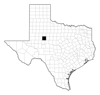 Mitchell County in Texas