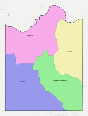 Montague County TX townships and subdivisions map