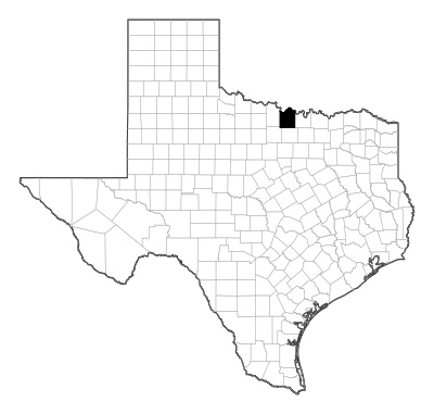 Montague County in Texas