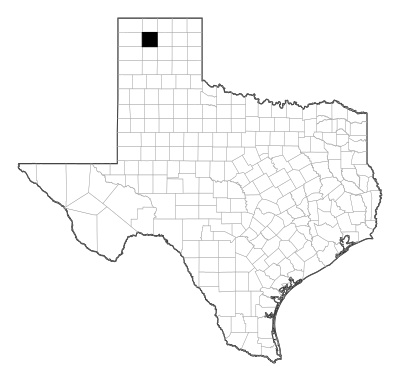 Moore County in Texas