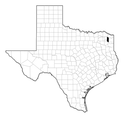 Morris County in Texas
