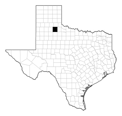 Motley County in Texas