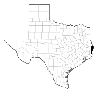 Newton County in Texas