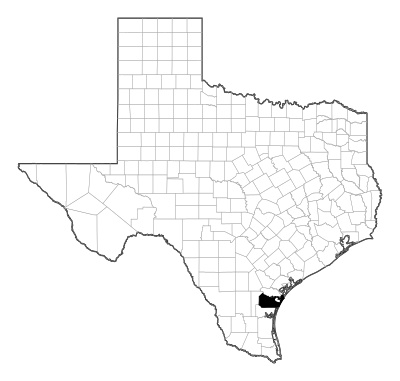 Nueces County in Texas