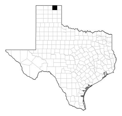 Ochiltree County in Texas