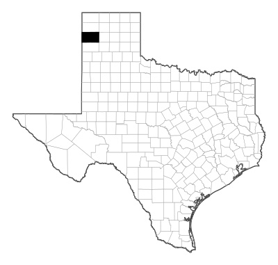 Oldham County in Texas
