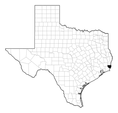 Orange County in Texas