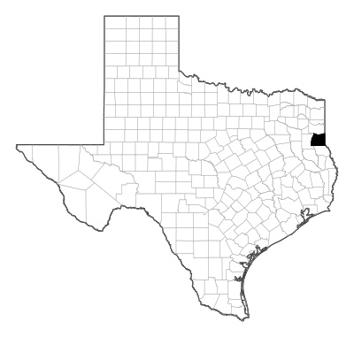 Panola County in Texas