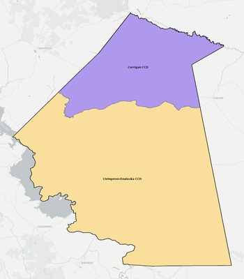 Polk County TX townships and subdivisions map
