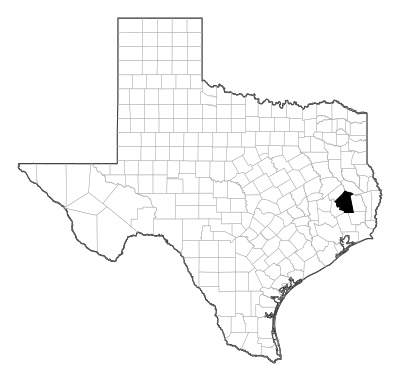 Polk County in Texas