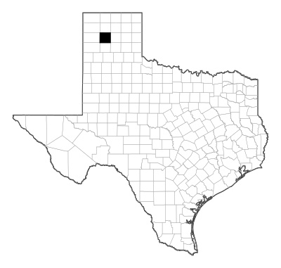 Potter County in Texas