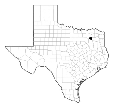 Rains County in Texas
