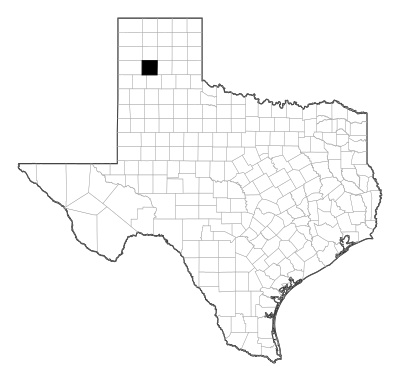 Randall County in Texas