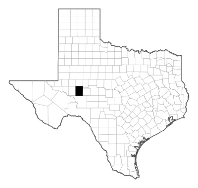 Reagan County in Texas
