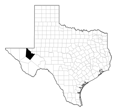 Reeves County in Texas