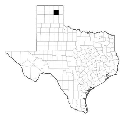 Roberts County in Texas