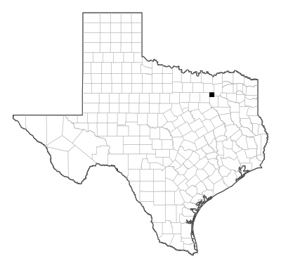 Rockwall County in Texas