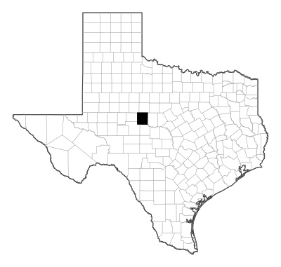 Runnels County in Texas