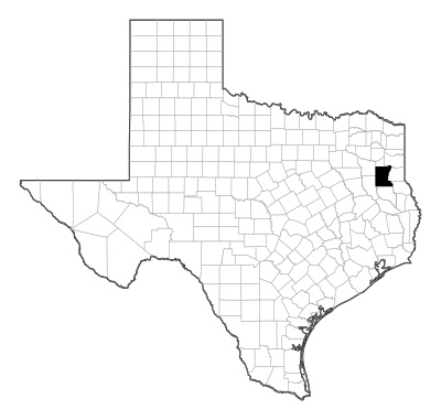Rusk County in Texas
