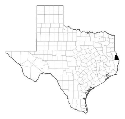 Sabine County in Texas