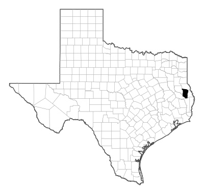 San Augustine County in Texas