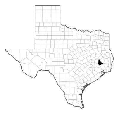 San Jacinto County in Texas