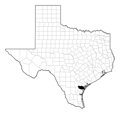 San Patricio County in Texas
