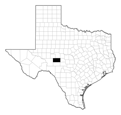 Schleicher County in Texas