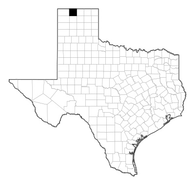 Sherman County in Texas