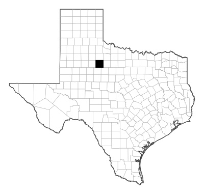 Stonewall County in Texas