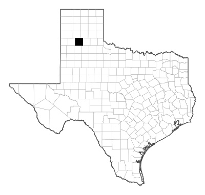 Swisher County in Texas