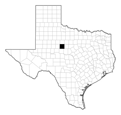 Taylor County in Texas